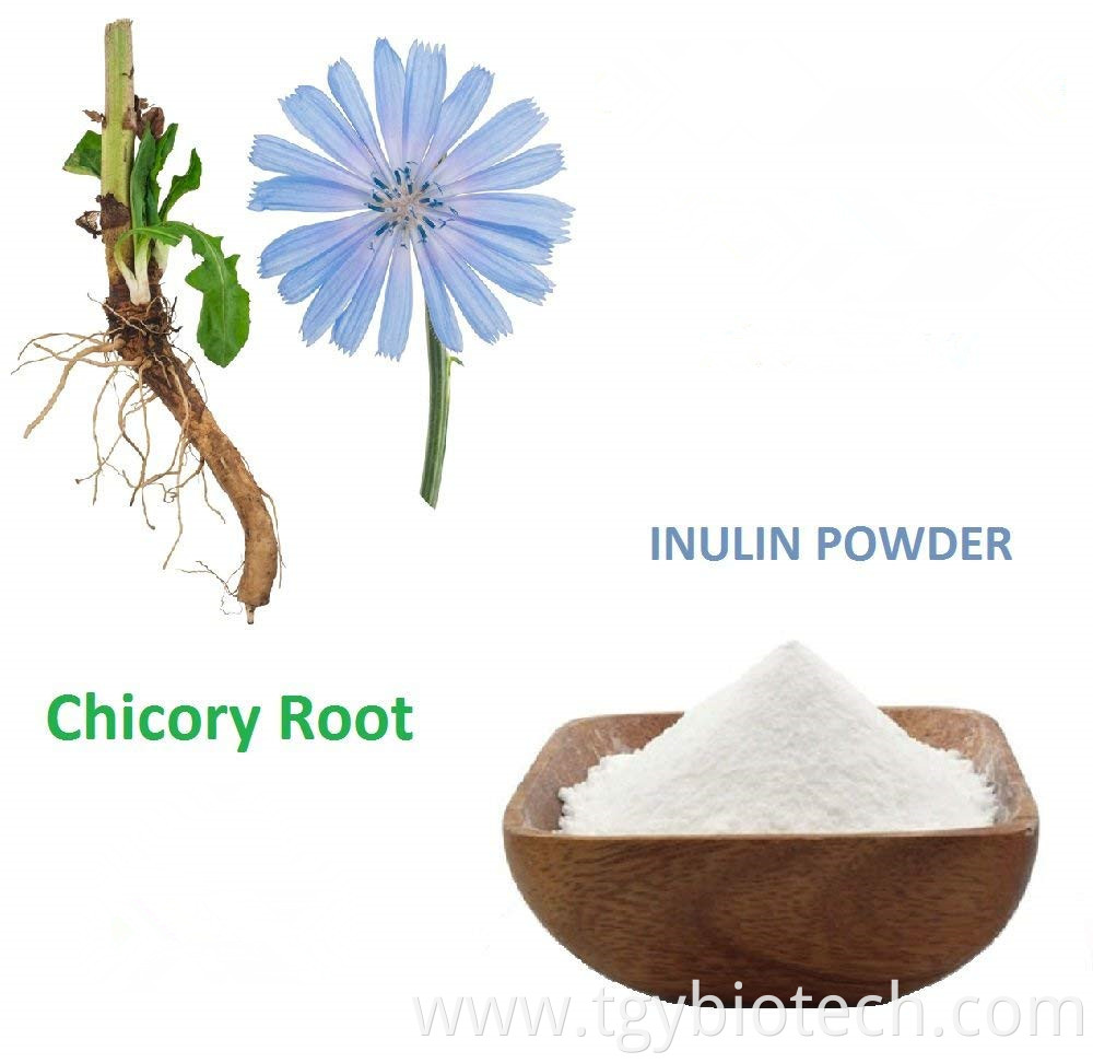 chicory root powder